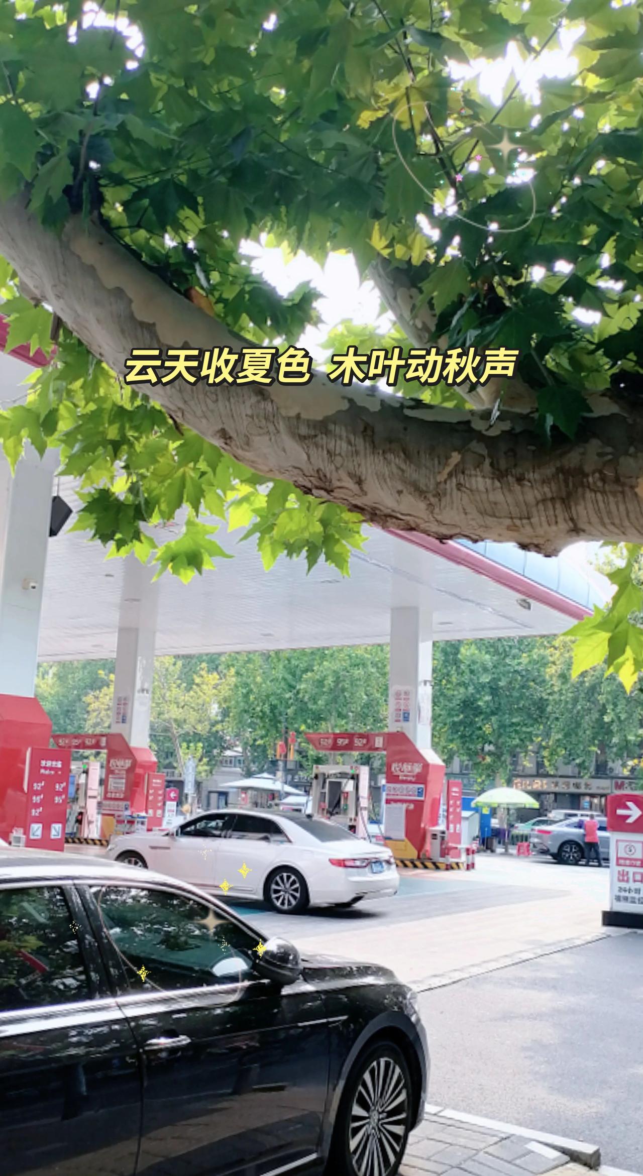 夏秋之交的景色是那么的迷人，也预示着炎炎夏日即将结束，凉爽的秋季即将展开