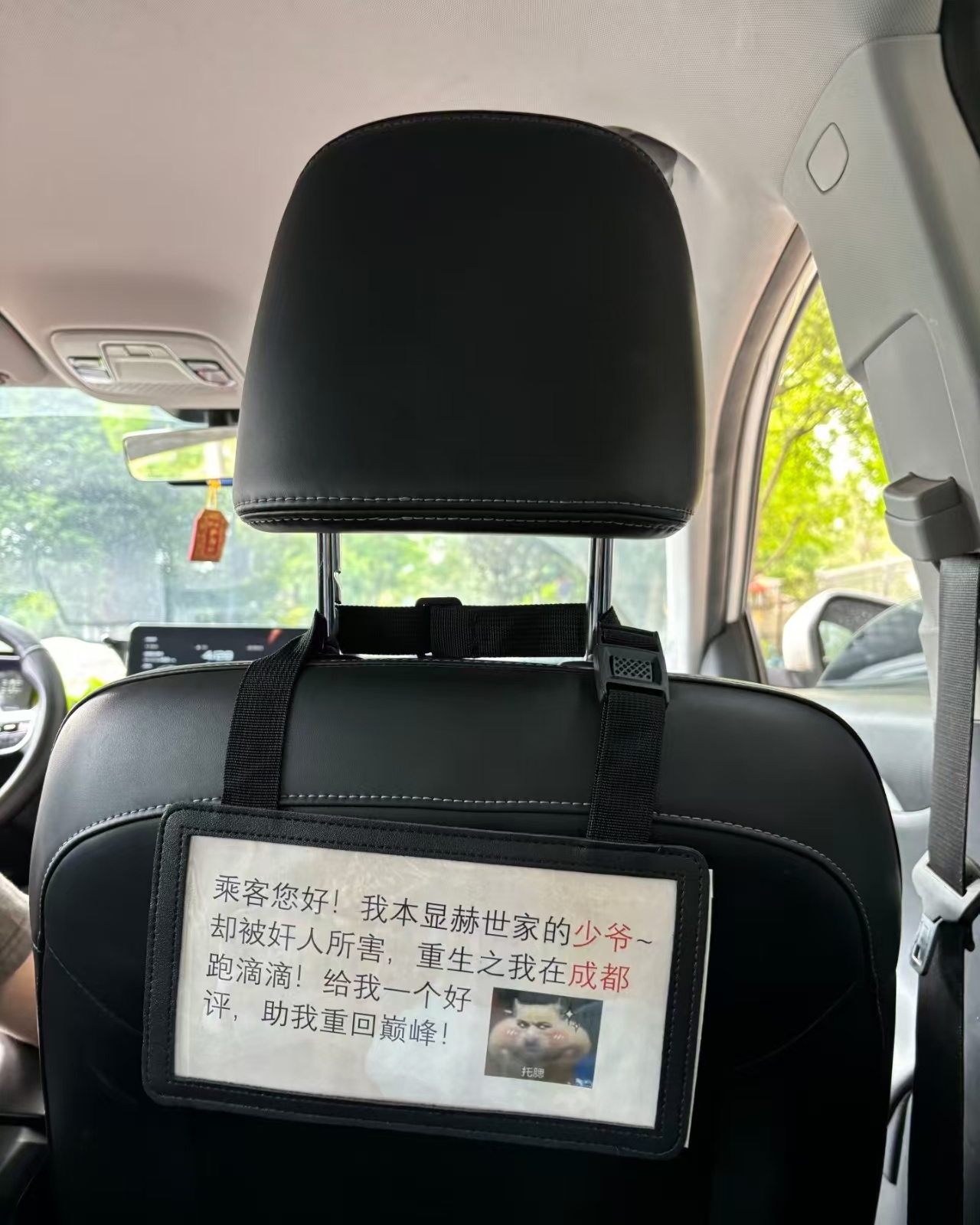 四川人是真的有点神 