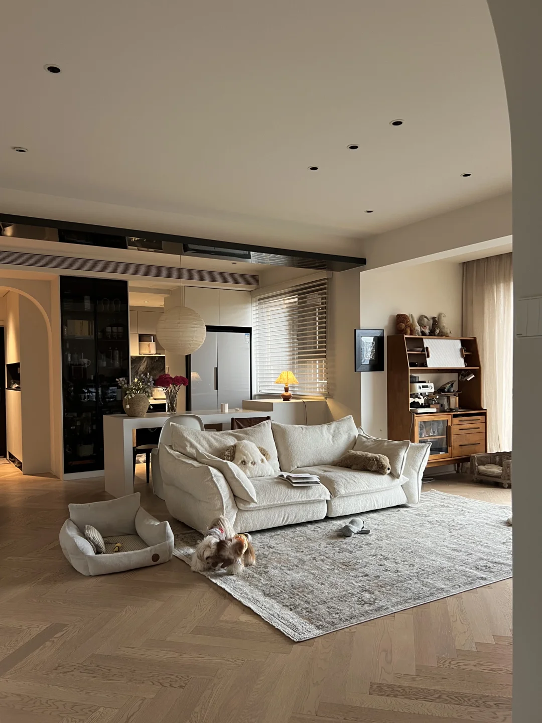 恭喜我吧 和小狗住进了梦中情房🐕‍🦺