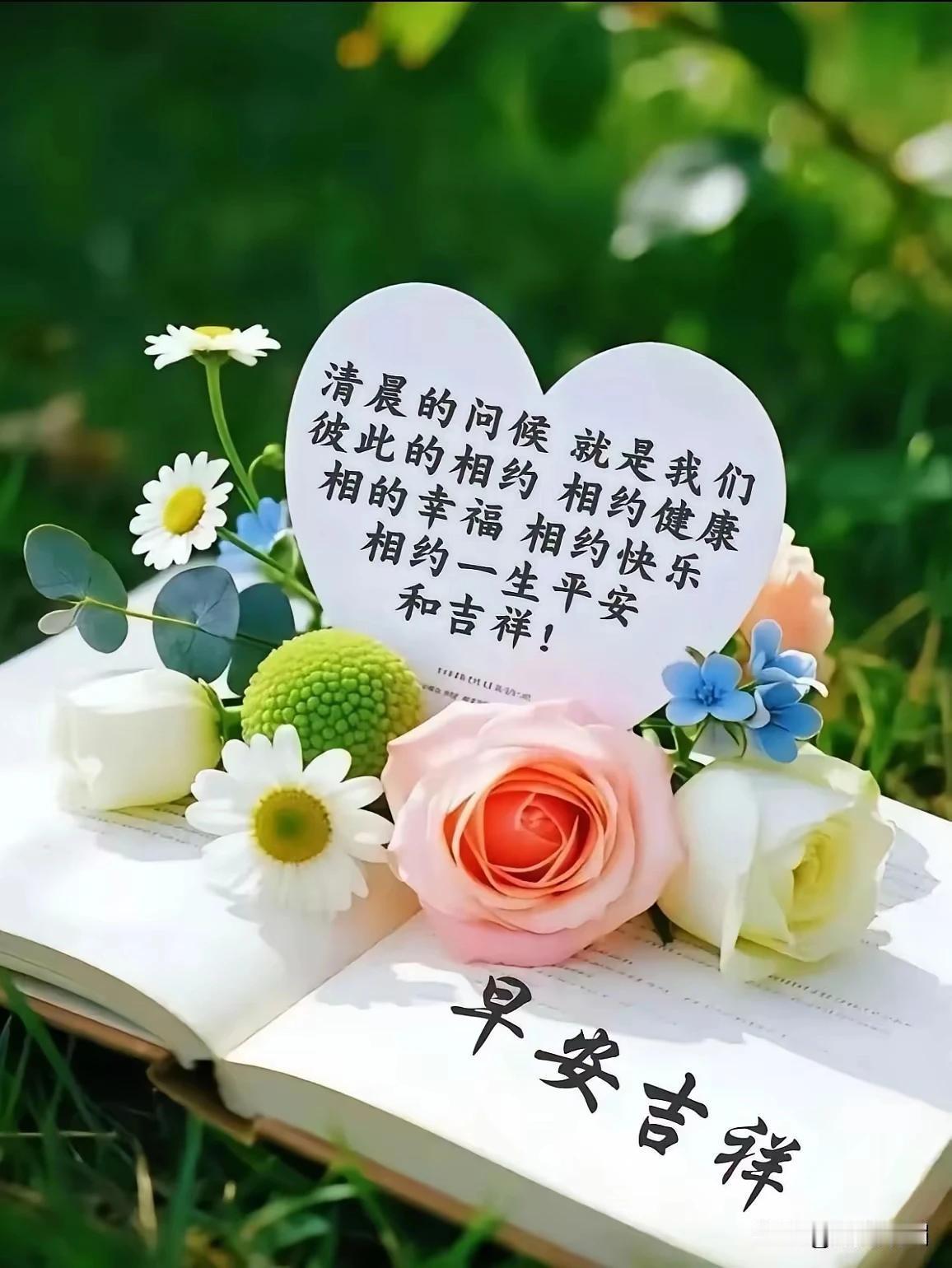 今日青岛，气温28C'度至32c'度，北风4级，晨光熹微，海风送爽，祝您早安吉祥