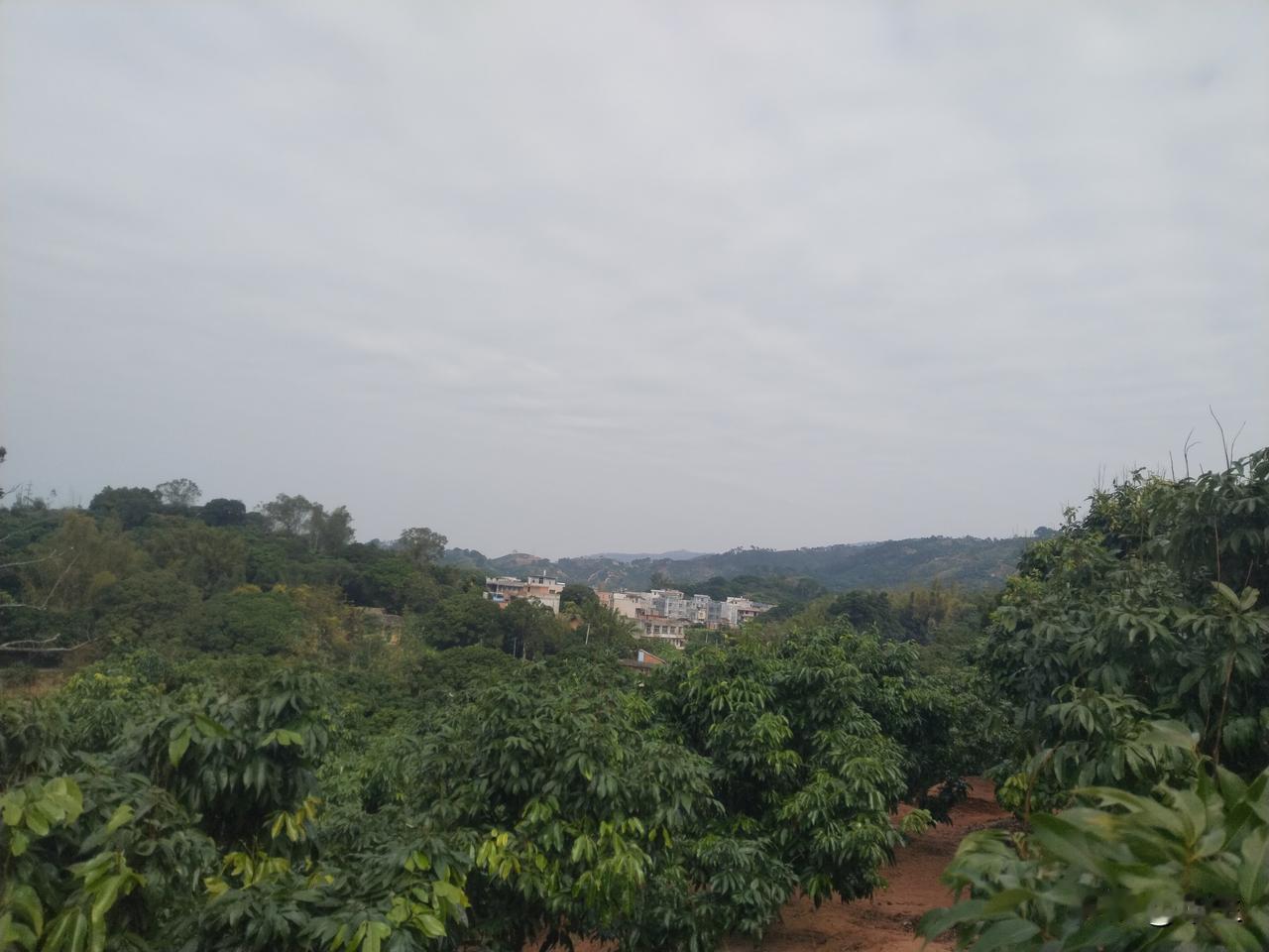 两广农村青年未来生活首选将不再是城市

曾几何时，城市是两广农村青年心中的“诗与