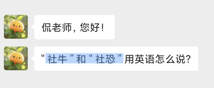 “社牛”、“社恐”，如果表示人的话，可以说：1）社牛：social butter