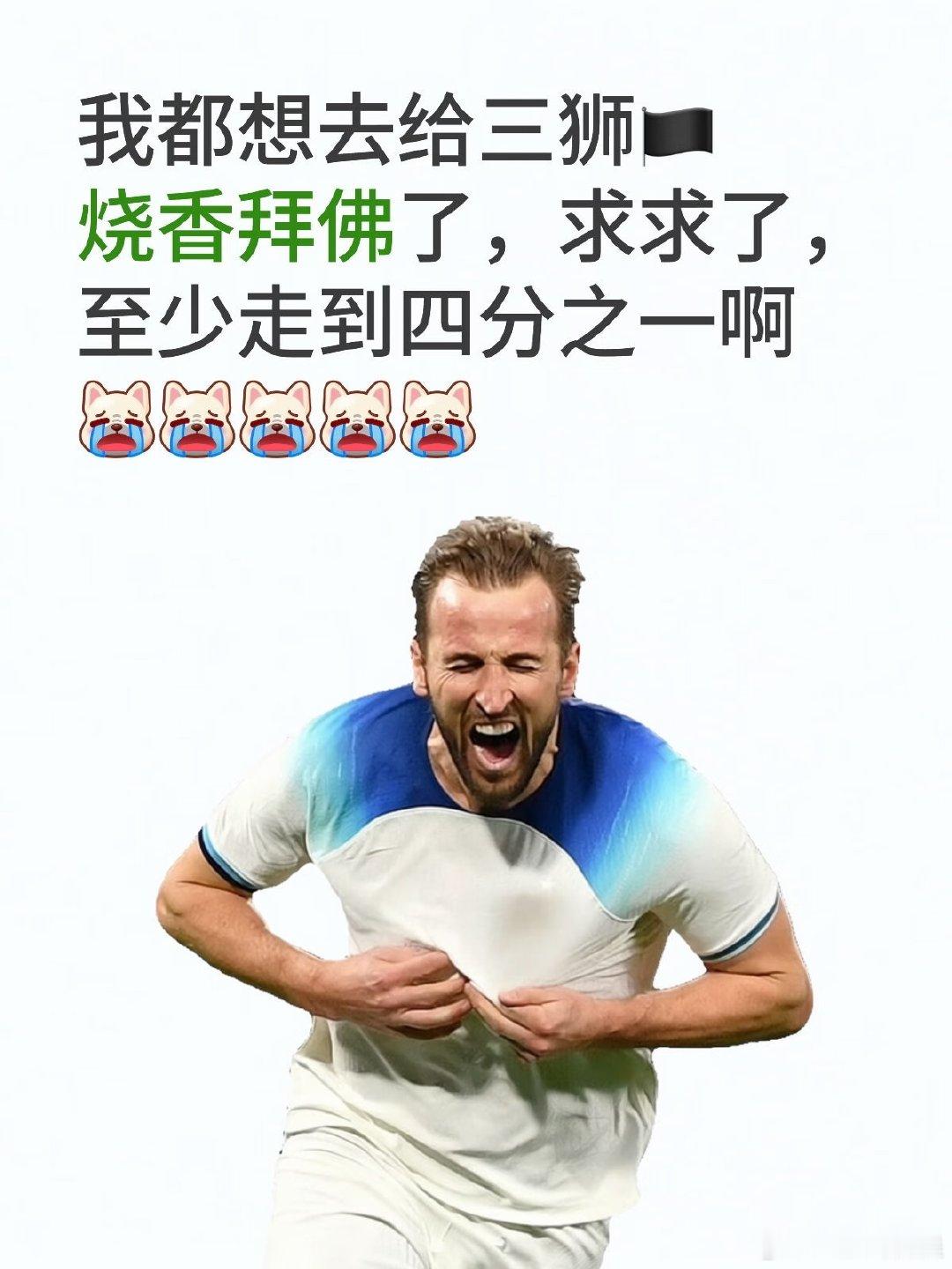今年带足球回家吧 三喵变真三狮[生气R][生气R] 世界杯