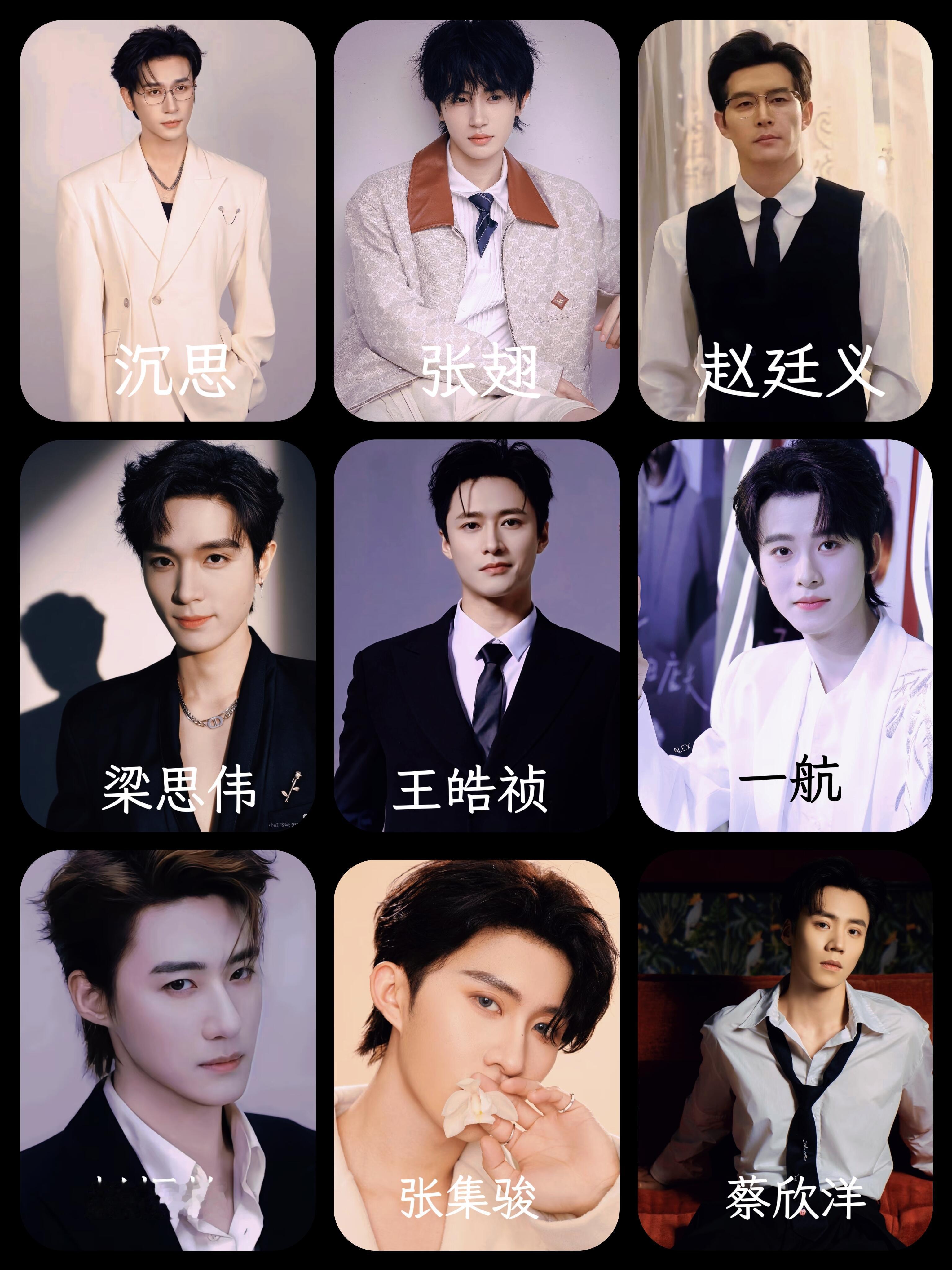 什么春晚请了短剧两大男顶流大家眼里的短剧顶流是谁应该是非柯淳莫属吧