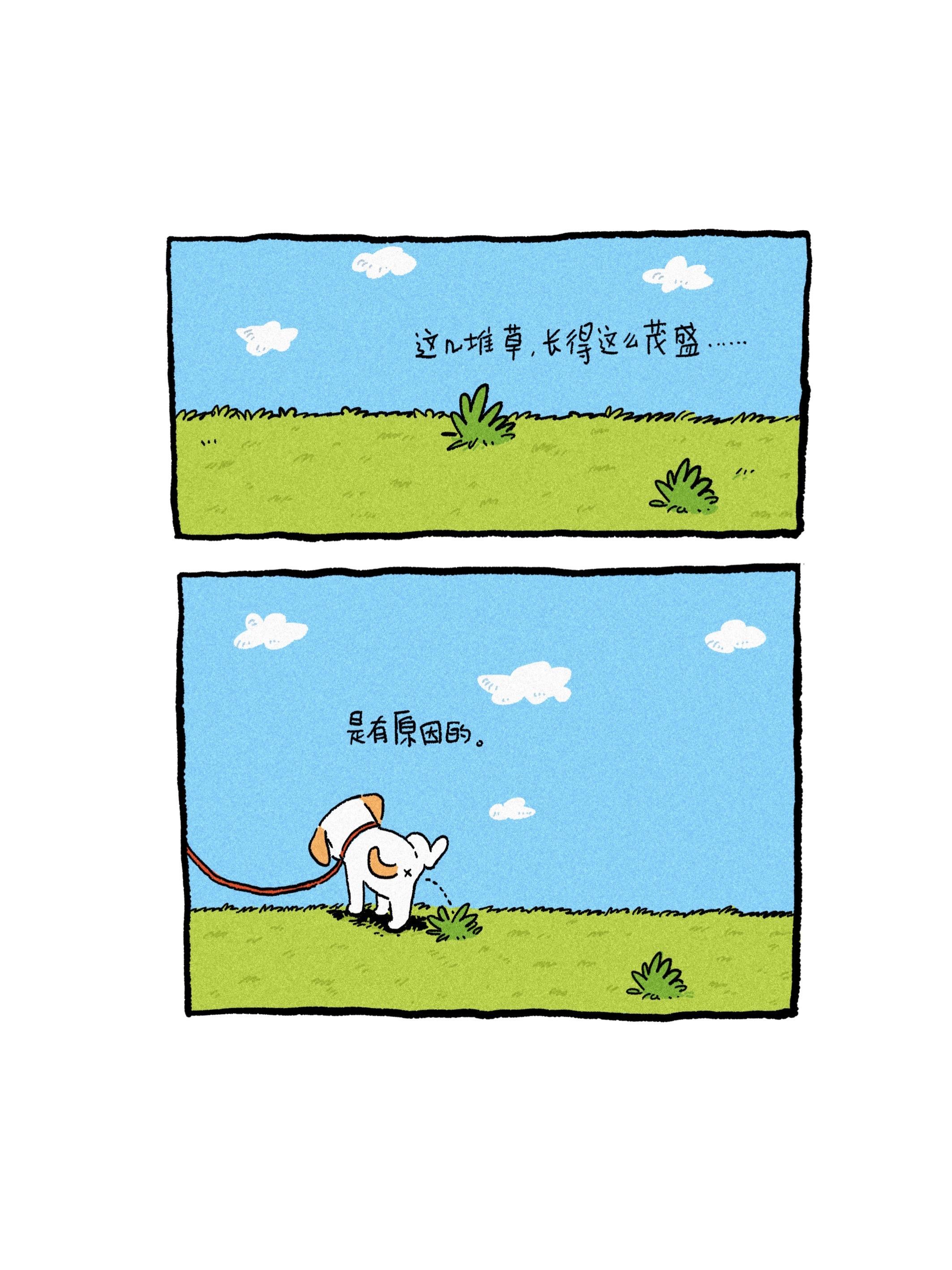 是小狗的滋养啊。🐶：这有关系吗？
