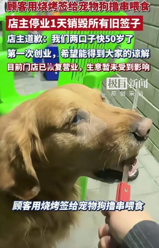 5月4日蓬勃新闻报道，内蒙古赤峰，有顾客在烧烤店撸串，居然直接拿烤串签子喂狗吃东