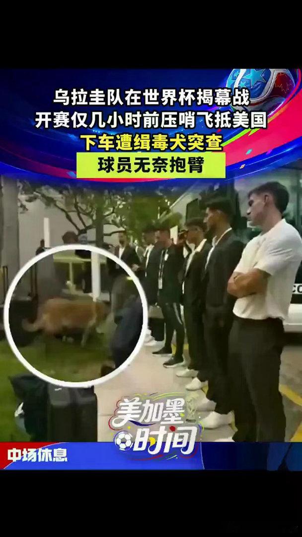 乌拉圭队压哨飞抵美国遭缉毒犬突查这边世界杯揭幕战即将打响，那边乌拉圭队却在机场和