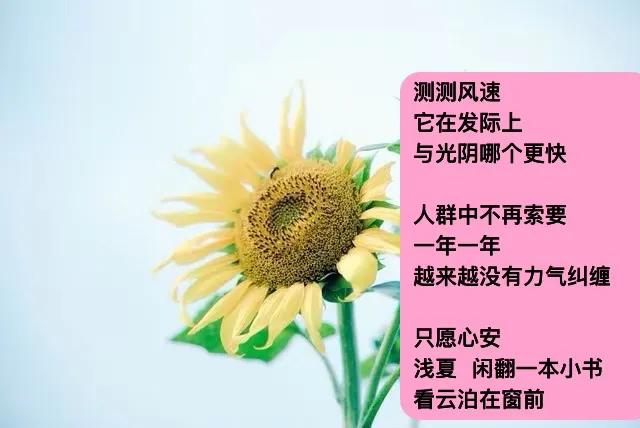 不必设立模板
任由时间
成为它该有样子
．
也不去评判
夏日  哪棵草身姿曼妙
