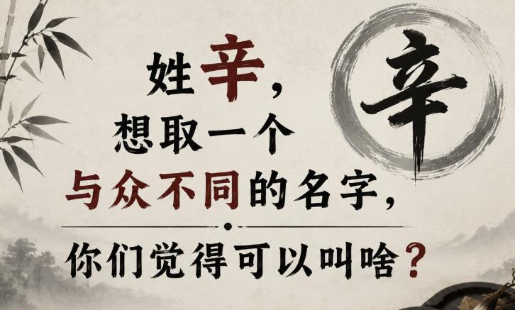 网友姓辛，想取一个与众不同的名字，你们觉得可以叫啥？