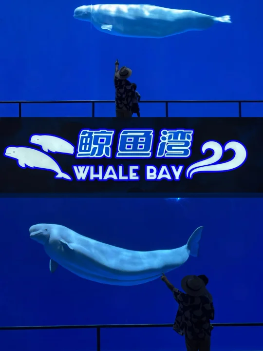 推荐江浙沪，一个很小众的遛娃地❗️