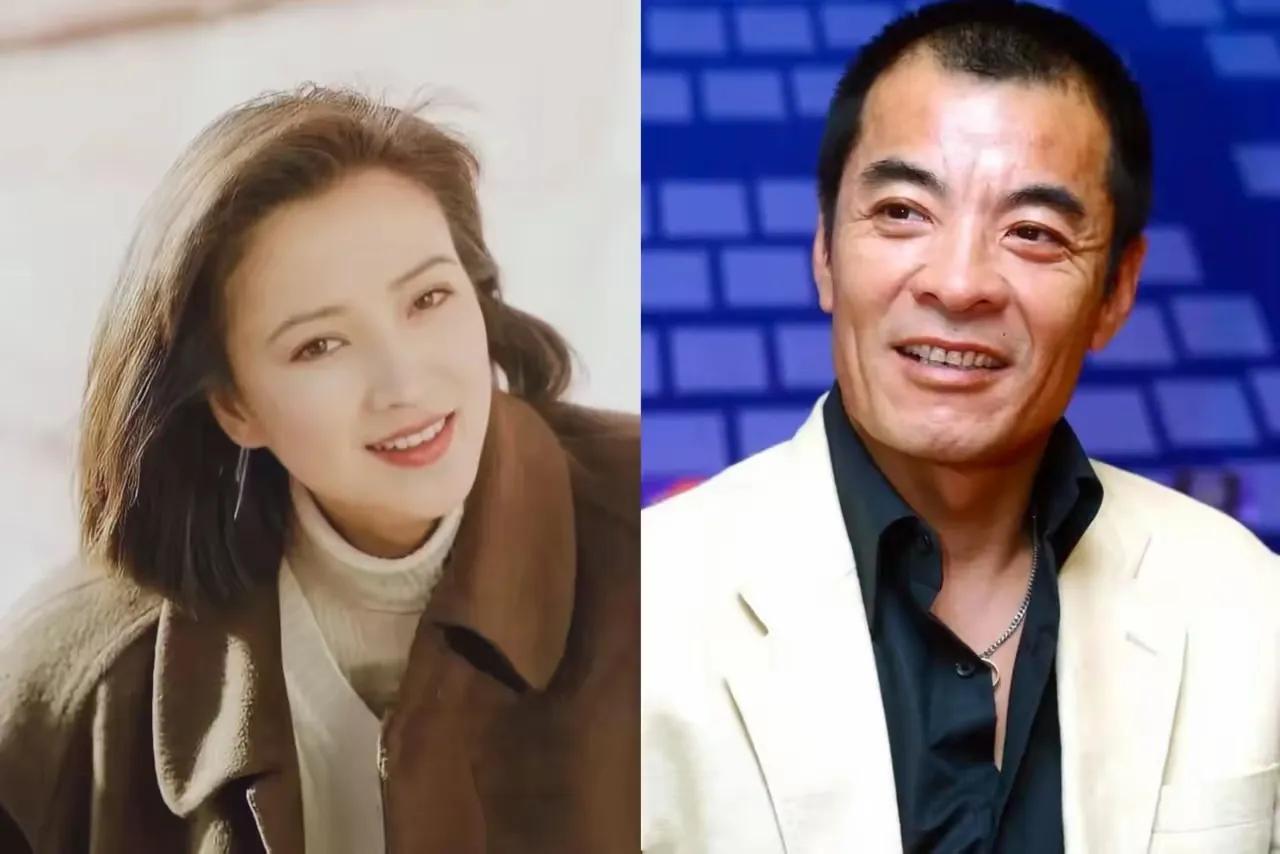 何晴为了事业，两次幸福没抓住，她什么都没了，刘威，许亚军却有孩子，有老婆，过的非