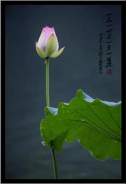 于寻常日子里，寻一抹细碎的快乐
 
我总在下意识地追寻快乐，也常常在心底问自己：