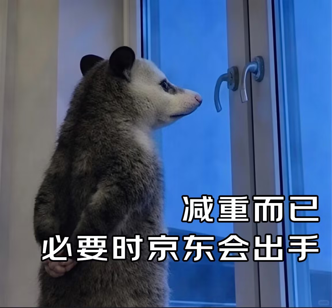 官宣！我正式报名参加京东健康减重不难瘦大赛了！🏆最近全网都在疯传京东健康的“肥