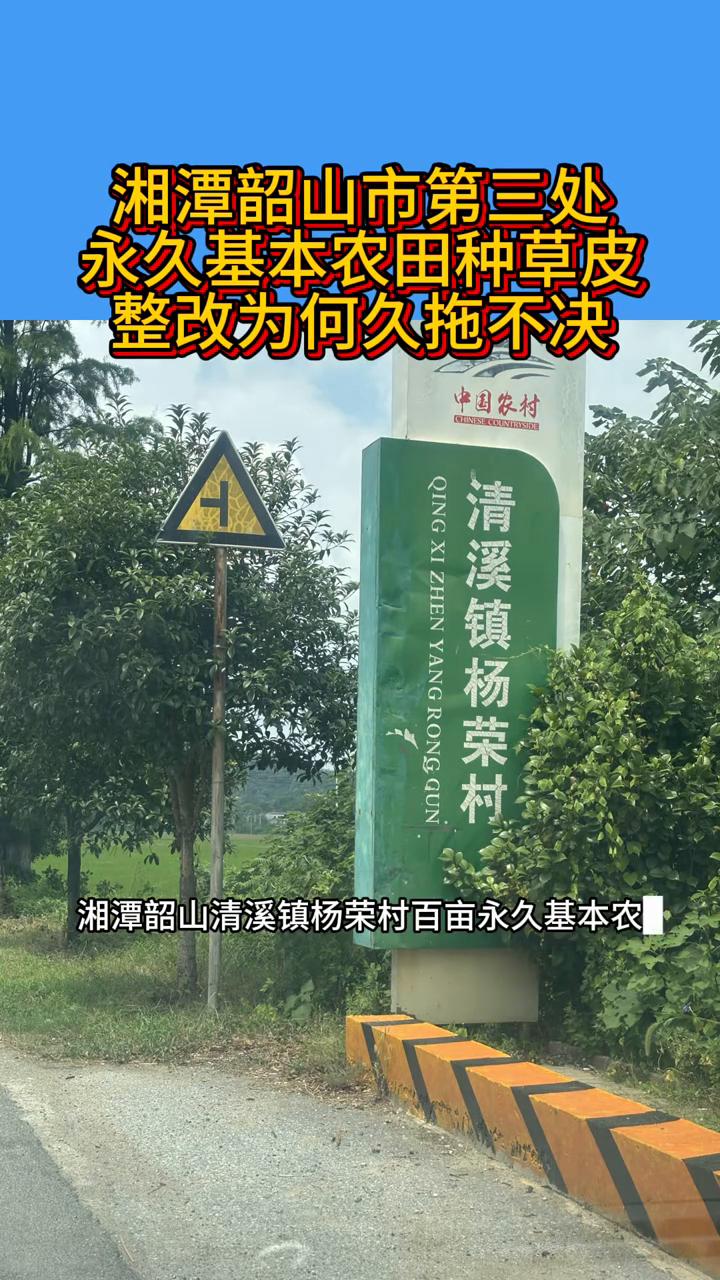 湘潭韶山市第三处永久基本农田种草皮整改为何久拖不决？
湘潭韶山清溪镇杨荣村百亩永