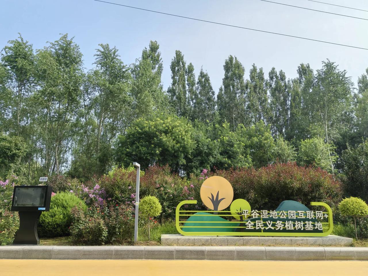分享一张你最近随拍的照片平谷湿地公园