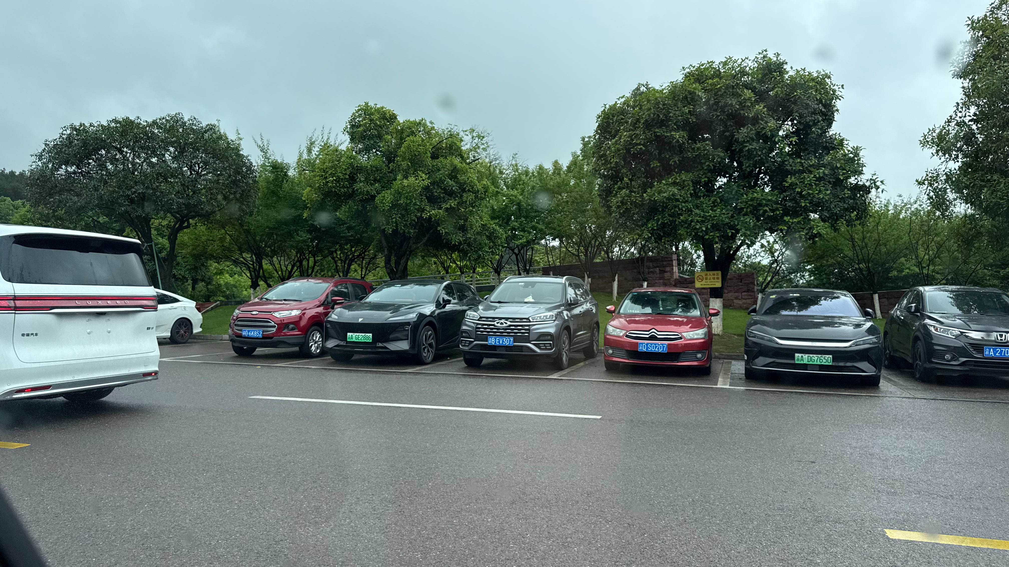 什么东西，一闪而过