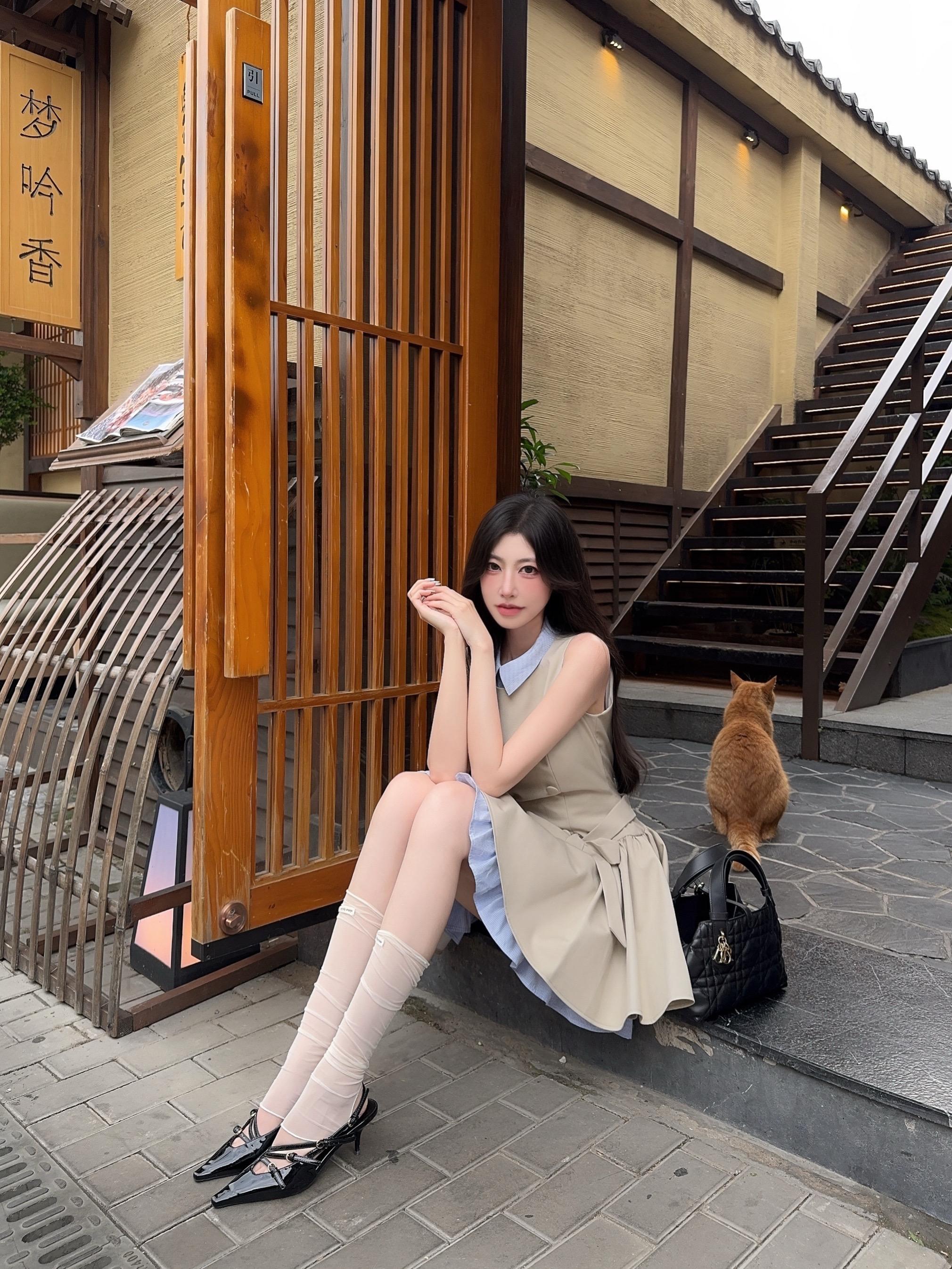 和小猫背靠背