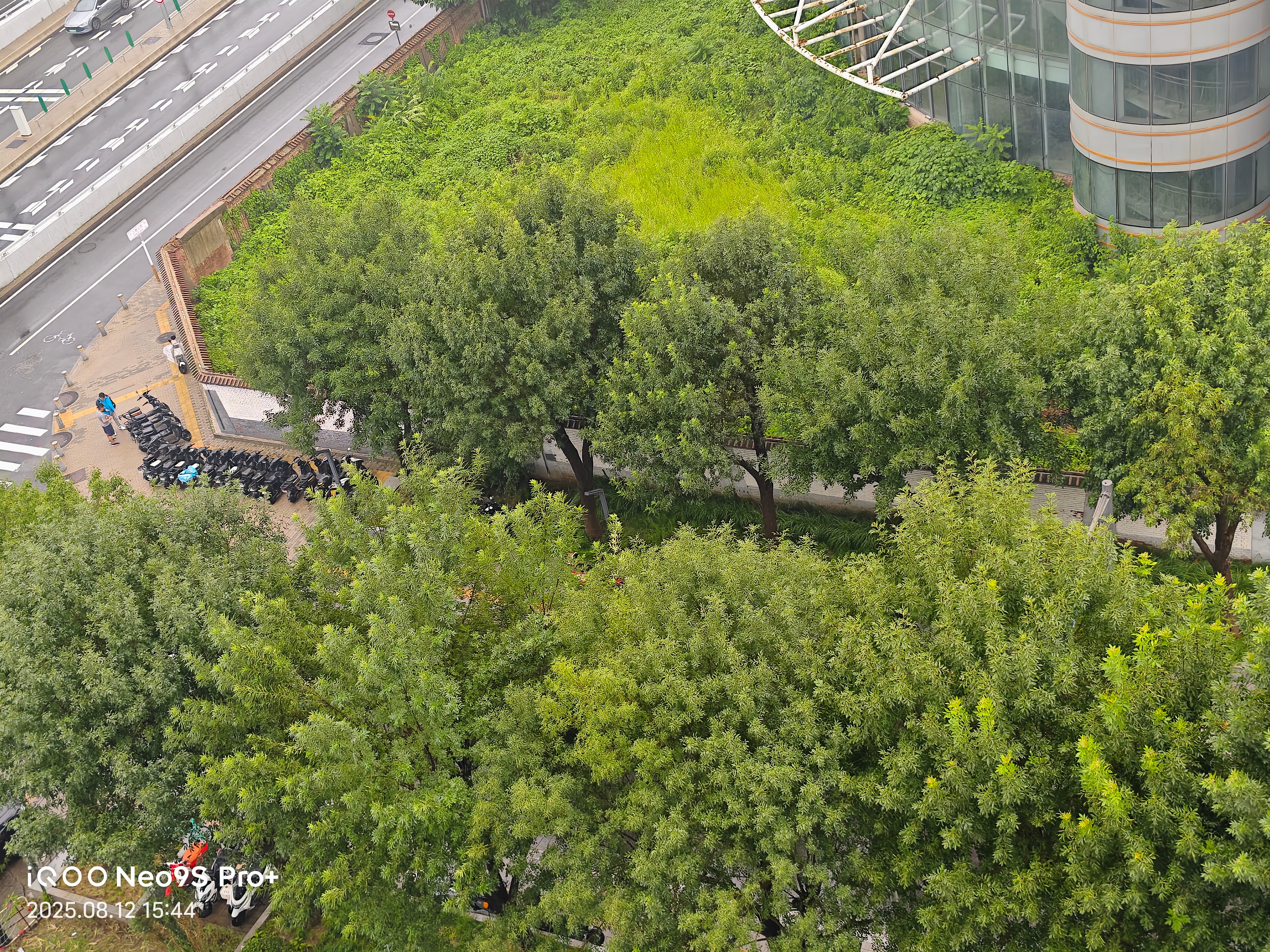 刚才下的可大了，现在停了北京下雨 ​​​