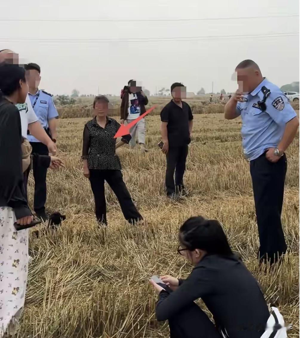 湖北襄阳火了一个词：割四赔五。

割四赔五是什么意思？就是明明收割了4亩地，一分