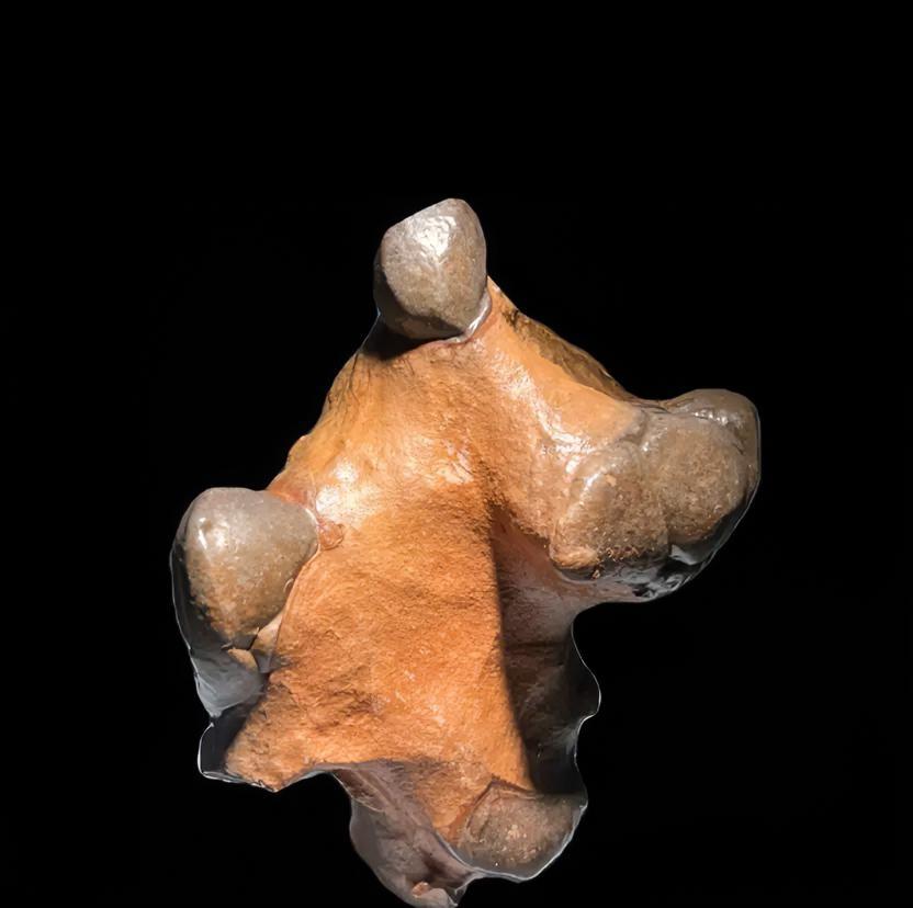 借问酒家何处有……