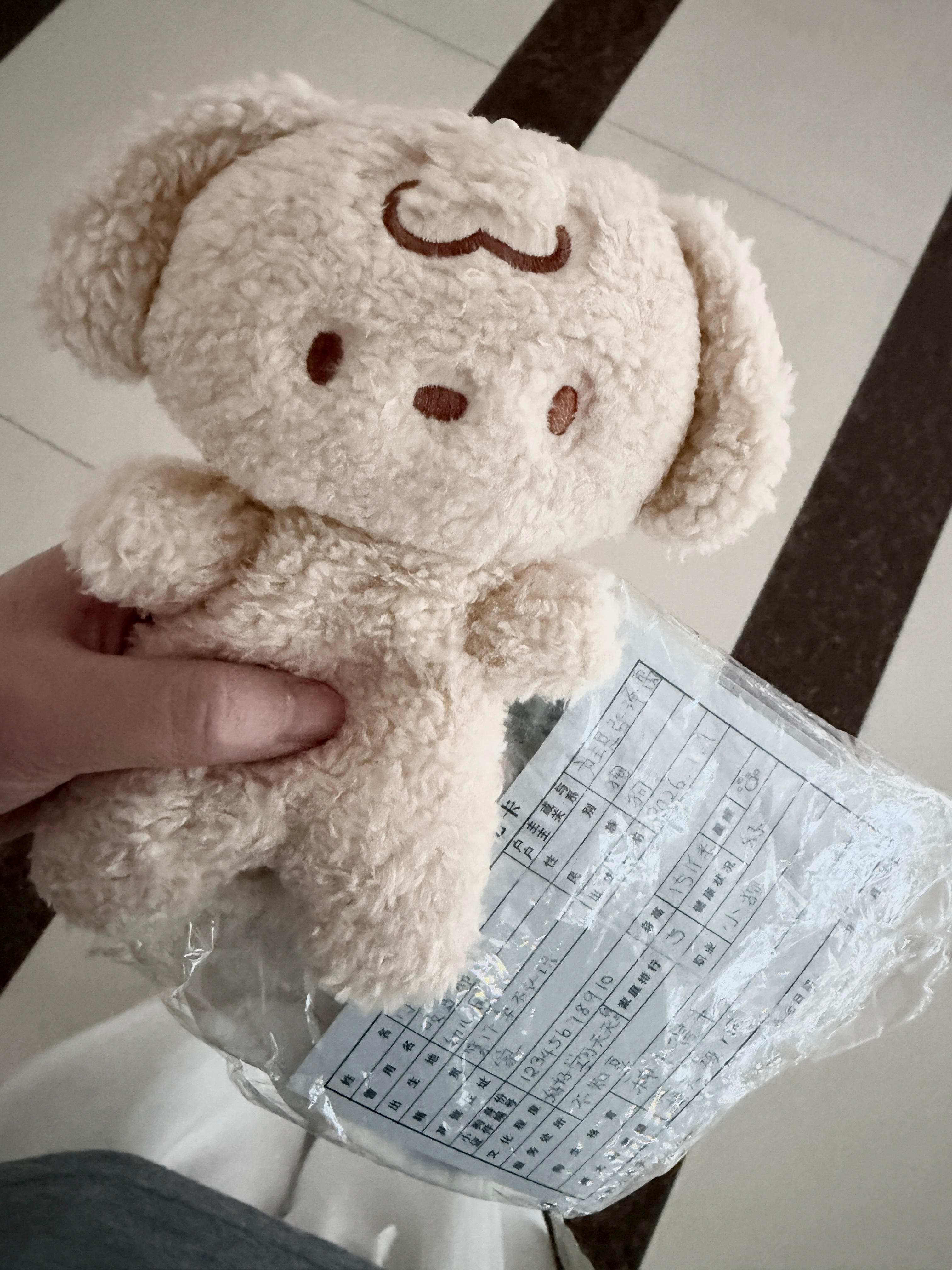 小豆也到家了 
