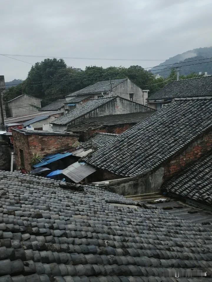 晒图笔记大赛 参加晒图笔记大赛超有意思！生活忙忙碌碌，有时忙到忘了吃饭，累到只想