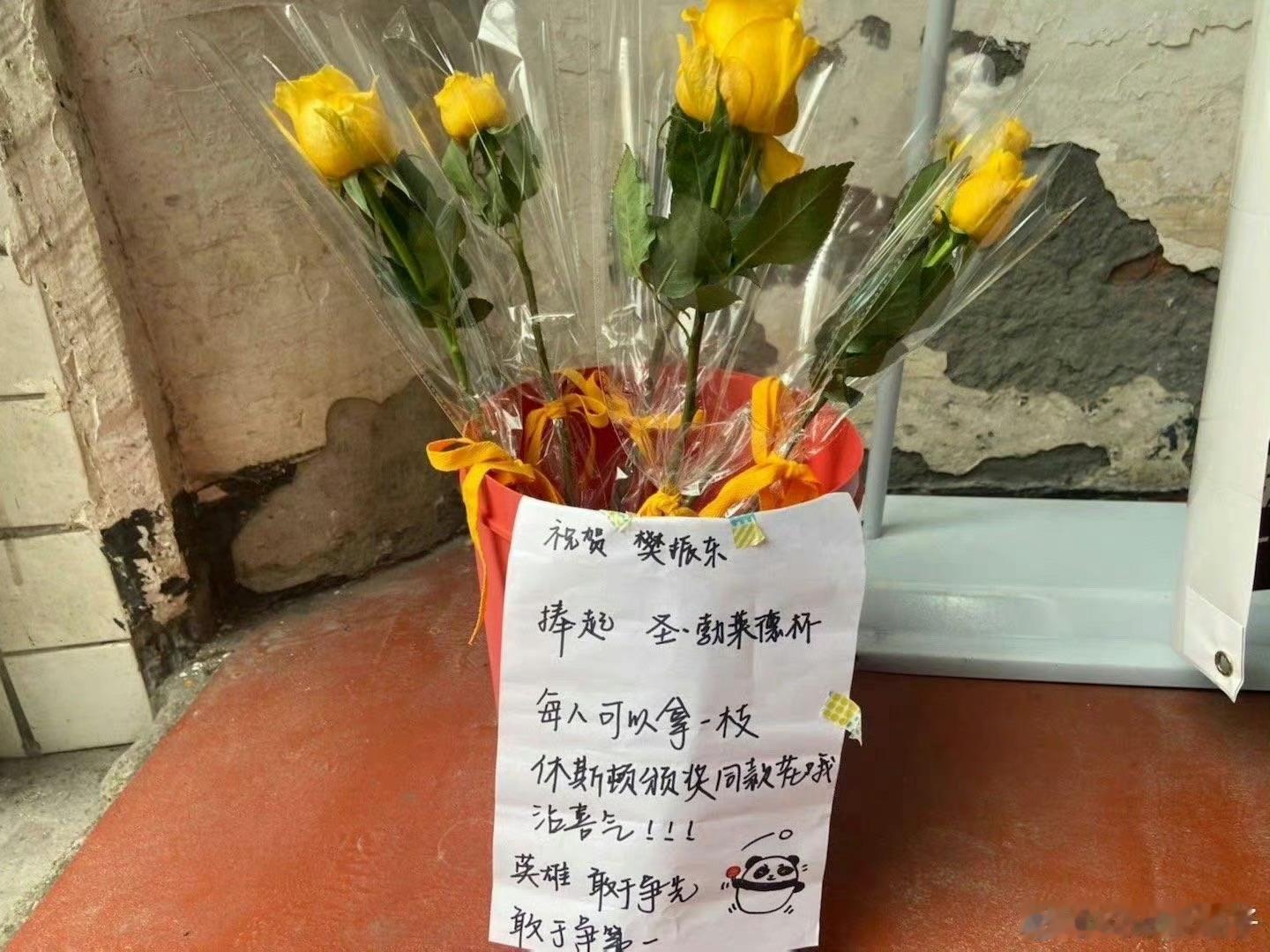 樊振东休斯顿世乒赛夺冠四周年 让我想起来小胖丝在学校分享休斯顿颁奖礼同款黄玫瑰 