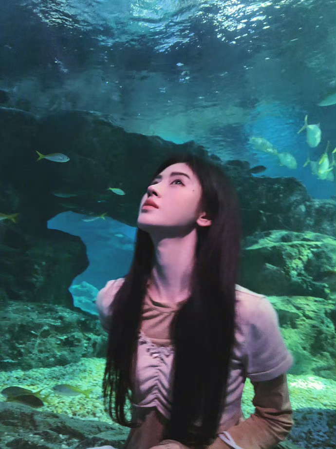 鞠婧祎去了海底世界鞠婧祎在海底世界也太好看了吧！蓝色的光打在身上，又温柔又灵动，