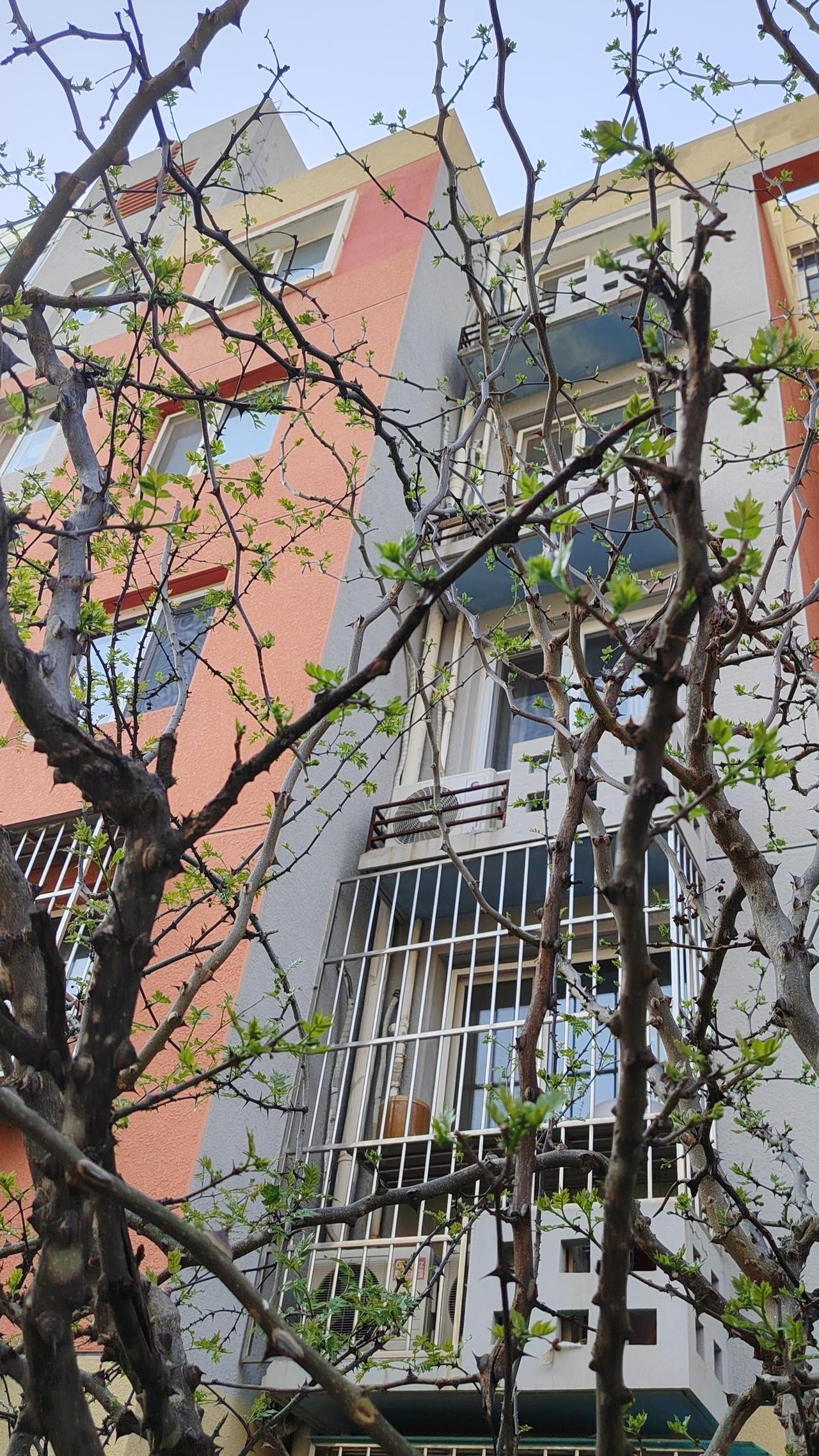 警句：真正的强大，不是原谅别人，而是放过自己。

小故事：一位女士因朋友的背叛而