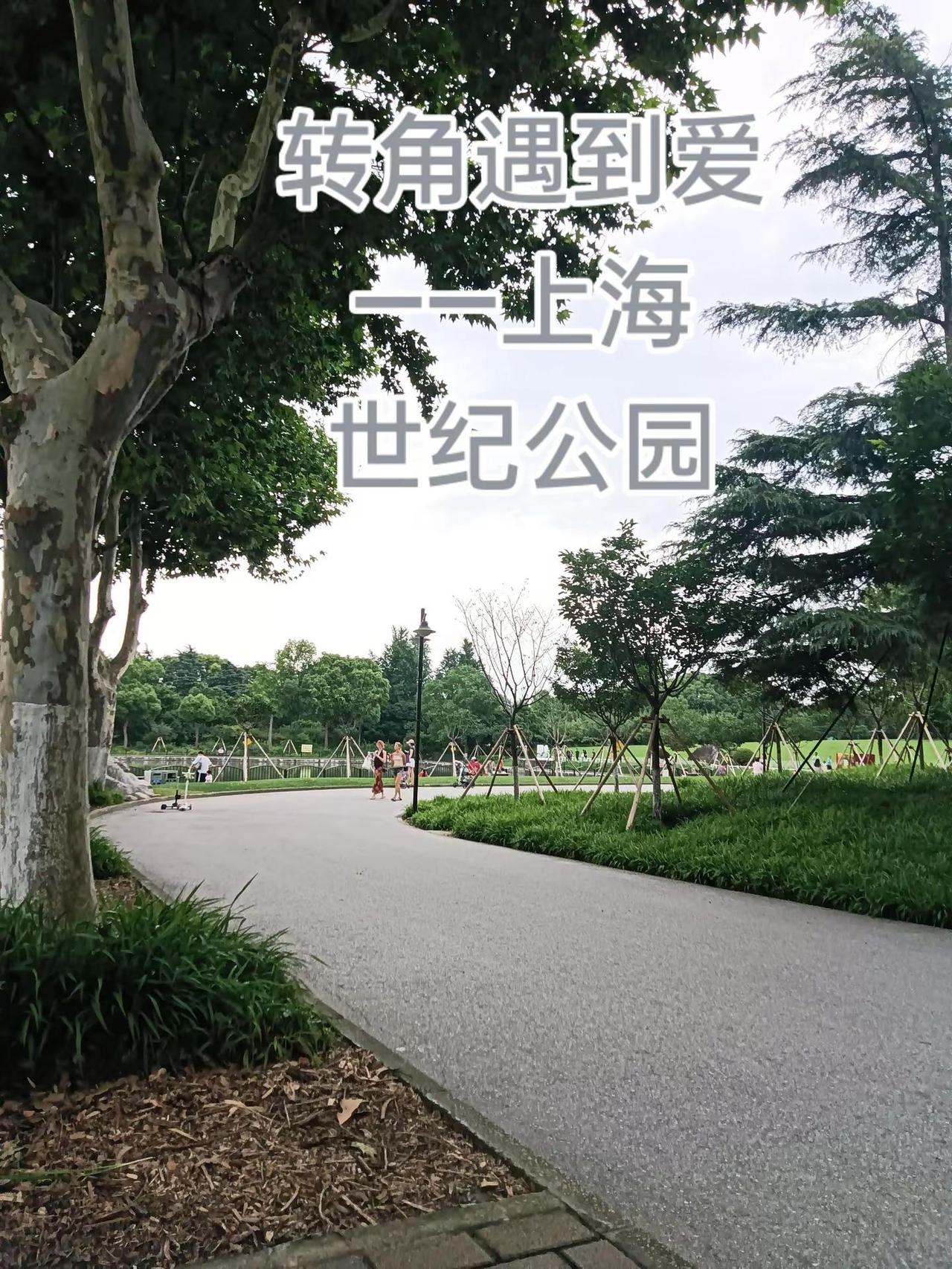 享受大自然