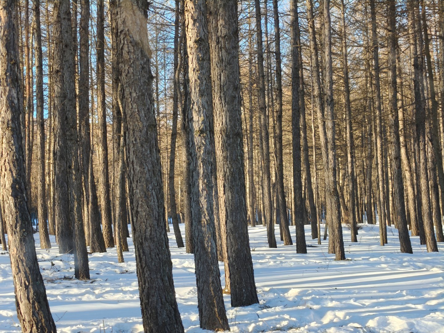 早呀朋友们，周末快乐