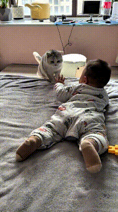 乖乖嘞！这小猫咪真是成精啦！看见宝宝醒了，主动凑过来陪玩，那小爪子收得比啥都紧，