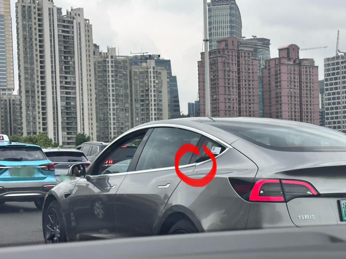路遇一台毛豆3，特斯拉这装配质量，它不尬我尬了[允悲]【来自懂车帝车友圈】
