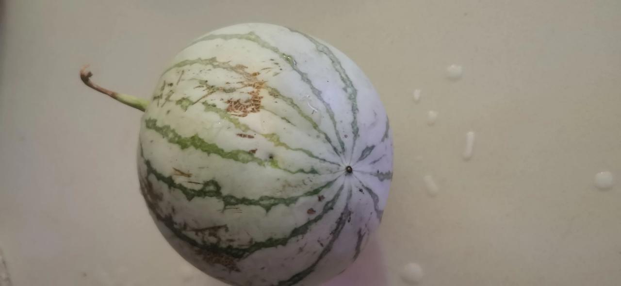 不打农药的西瓜