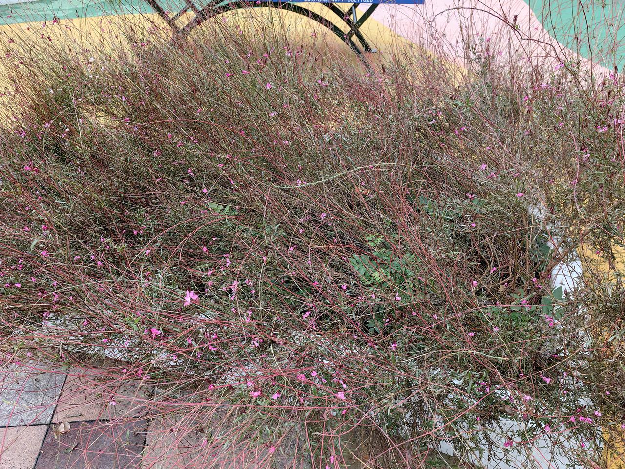 如何选择机器人股。
机器人股会是科技牛的核心主线，虽然一条明线是芯片
但暗线，最