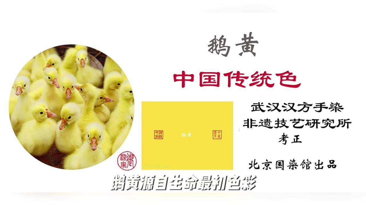 1️⃣新染鹅黄色未乾透，黄栌煎水，槐米作媒，沉淀千年的东方色谱。

2️⃣瑟瑟罗