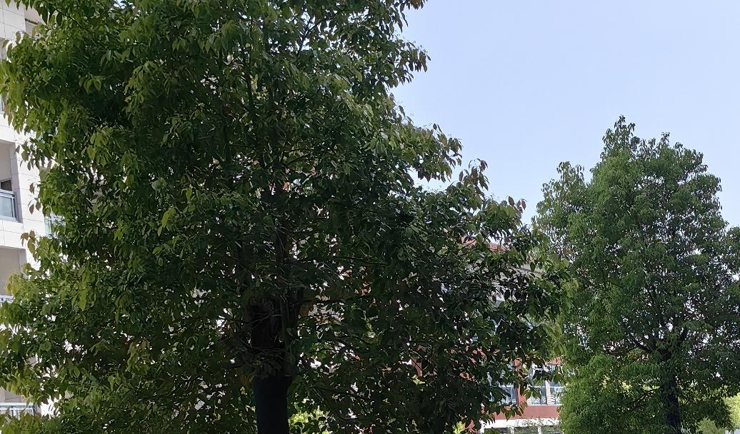 看到“老刀牌香烟”，瞬间把我拉回过去。那时候大街上好多人都抽它，烟盒上的洋刀标志
