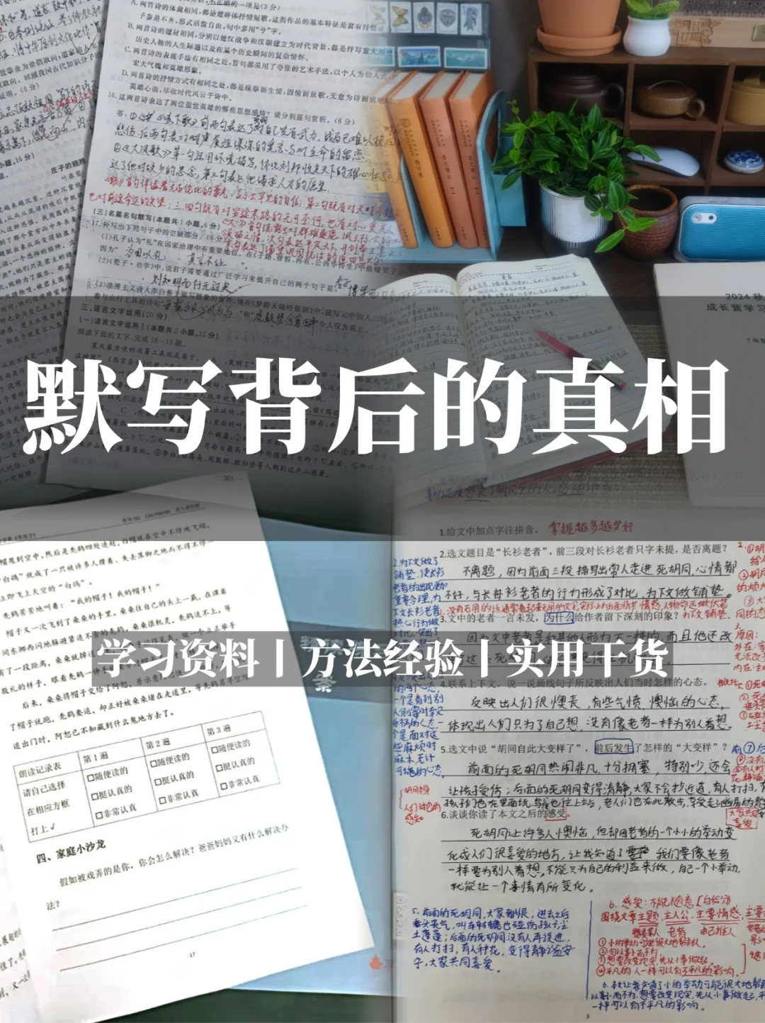 语文默写背后的真相是......