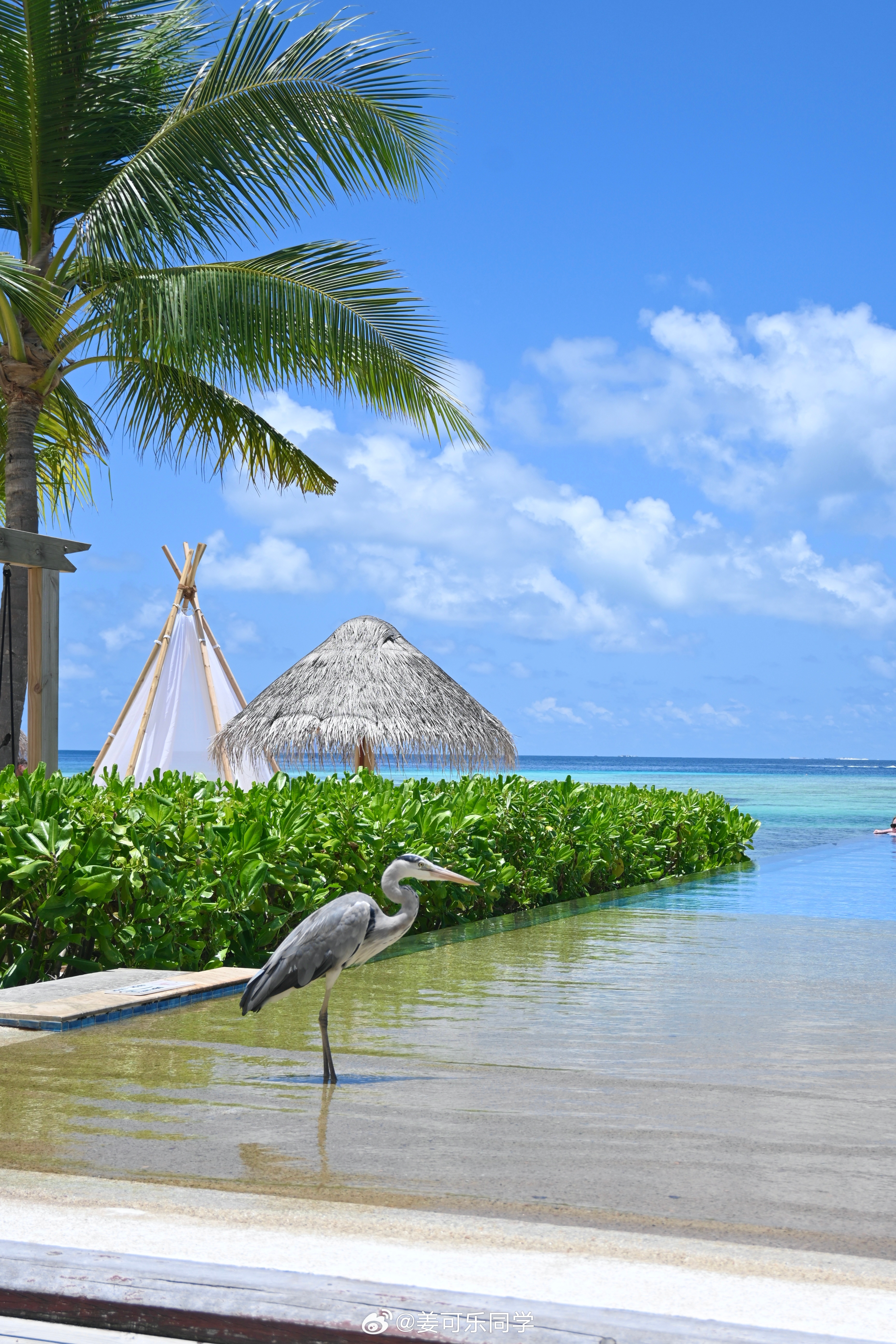 被阳光晒透🏖️ 