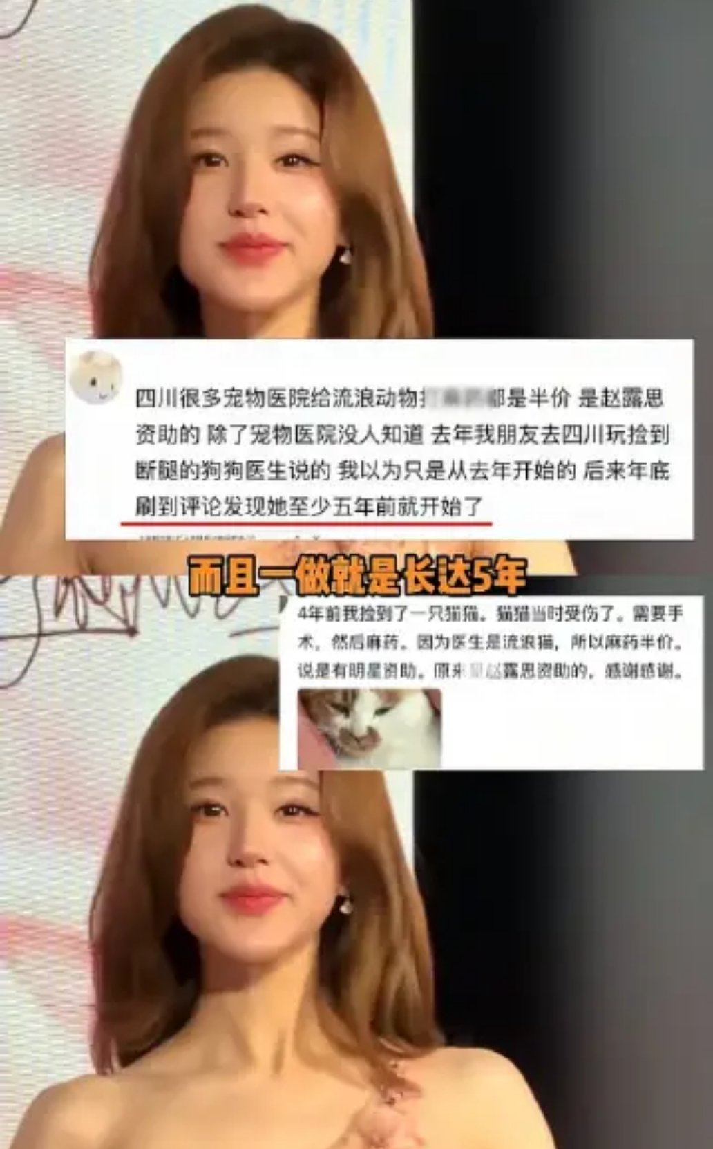 唉，老露你… 资助宠物医院给流浪猫狗打半折，给家暴女性偷摸转账，钱能送到的地方她