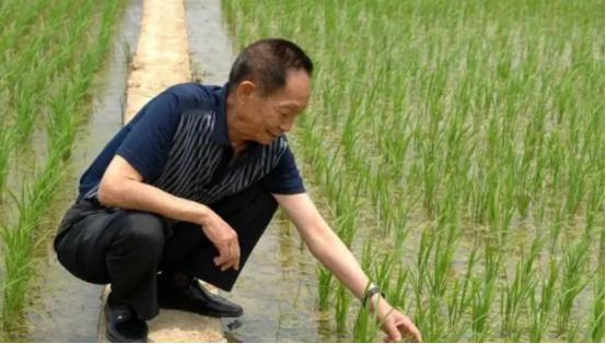 “杂交水稻之父”袁隆平其实是一个很幽默的人，他给自己的两个孙女取了很有意思的小名