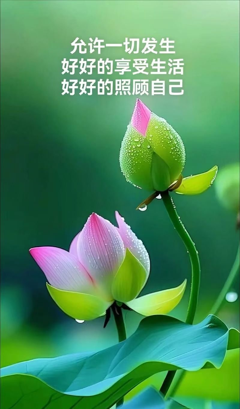 微信未读语音消息变灰 部分iOS用户反映微信更新后未读语音消息提示色由红色变为灰