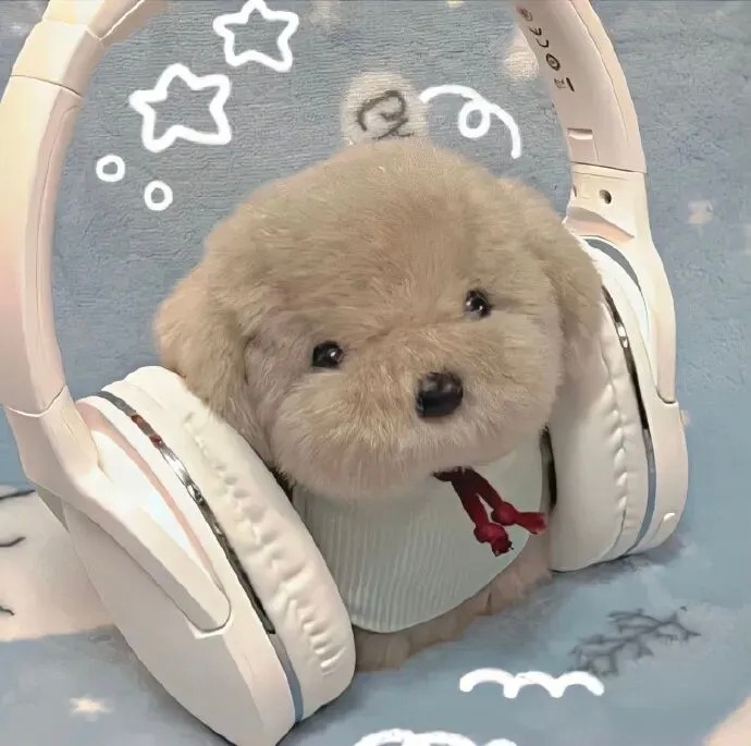 𝙎𝙝𝙖𝙧𝙚 | 可以很久不换的朋友圈背景图 