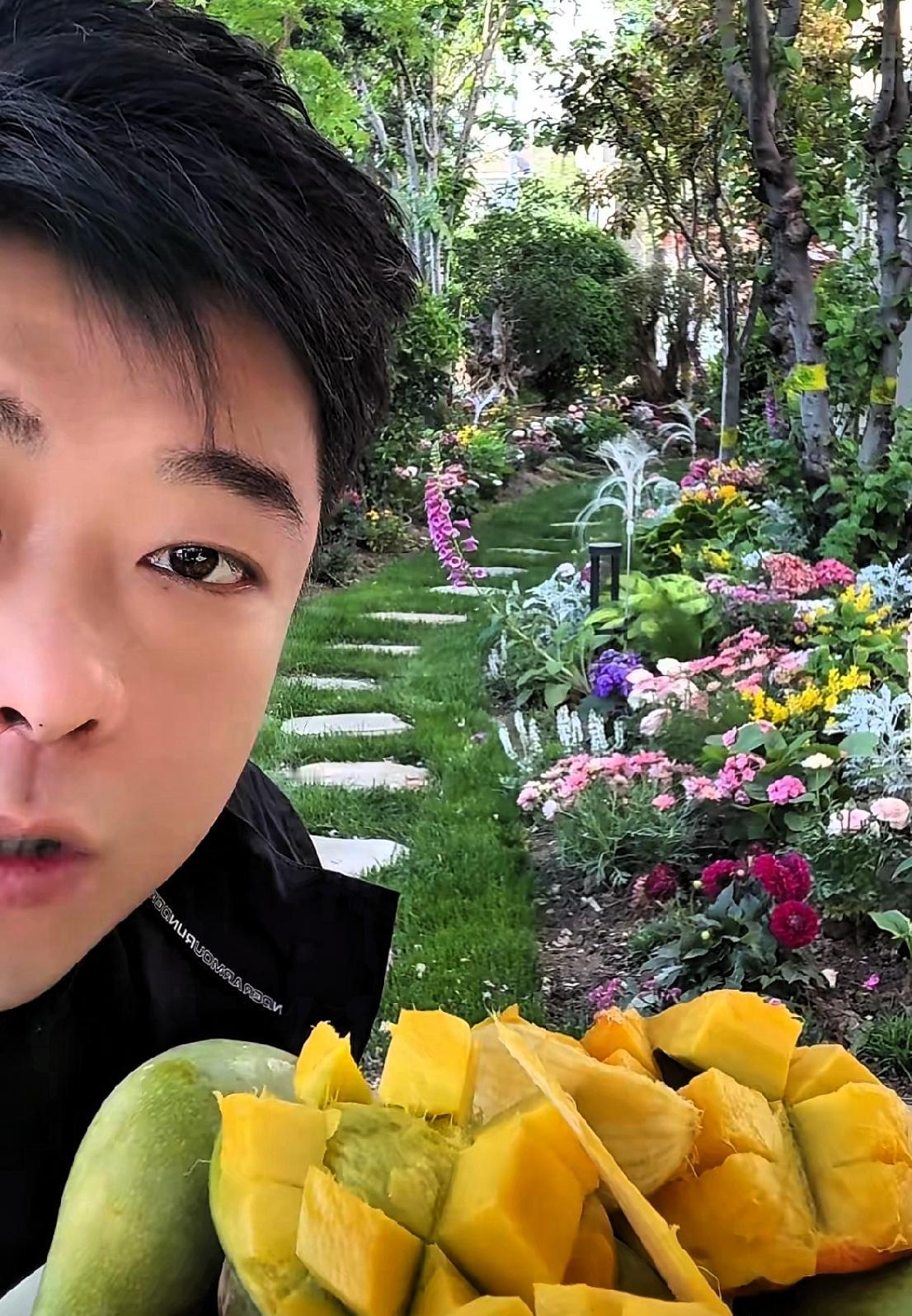 兰姐不在家，地儿留给董哥。花开得满，果香到处飘。蝴蝶飞舞，树下好遮阳。
董哥也闲