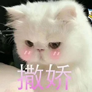 特么，肖战随口提一嘴焖猪蹄老板就赚翻了，巨星效应太牛了，肖战可不可以手滑点赞我，