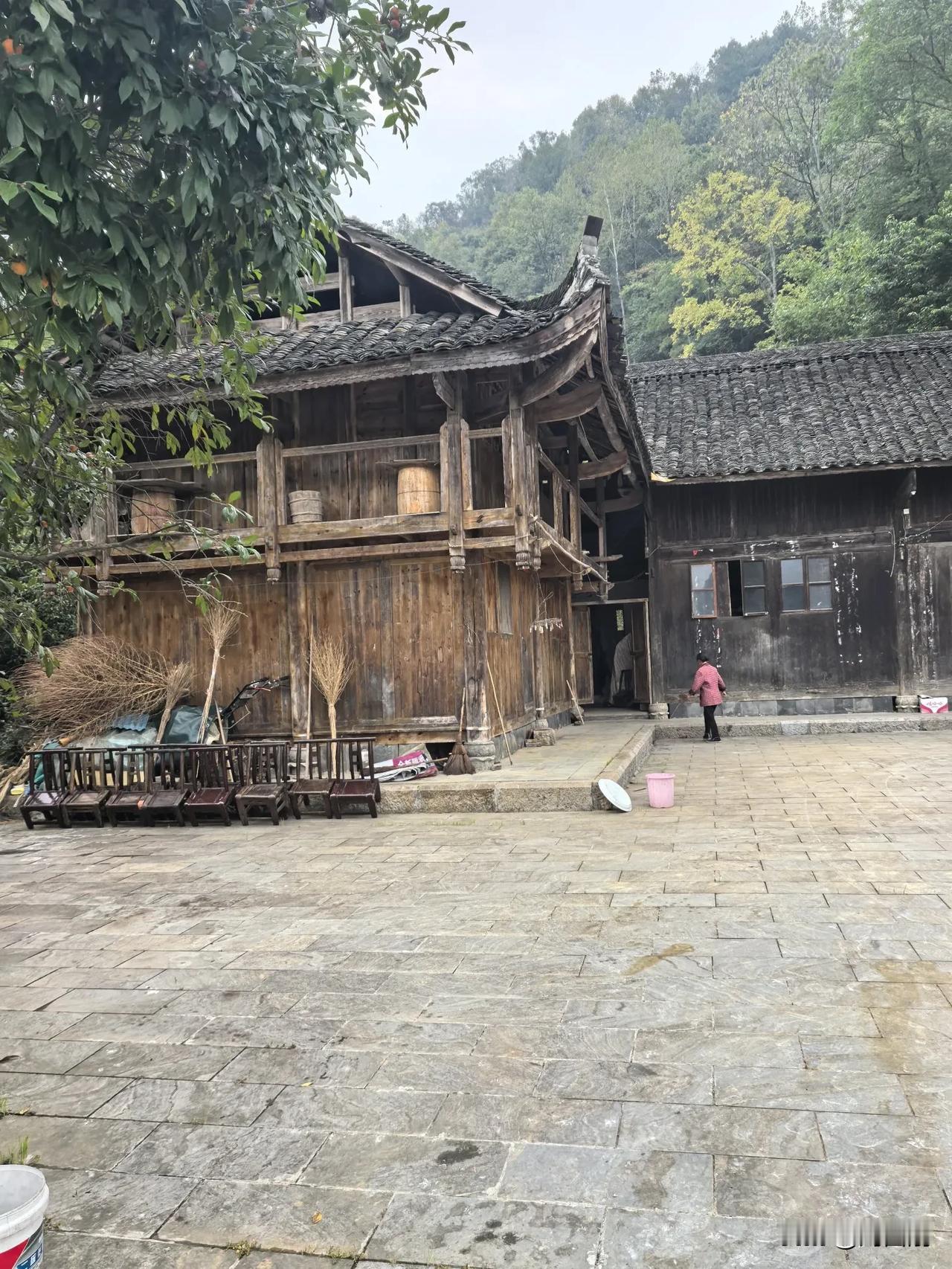 七律.贺堂哥重阳耄耋寿诞二首
（2024年10月11日）
一
佳色重阳宴桂堂，金