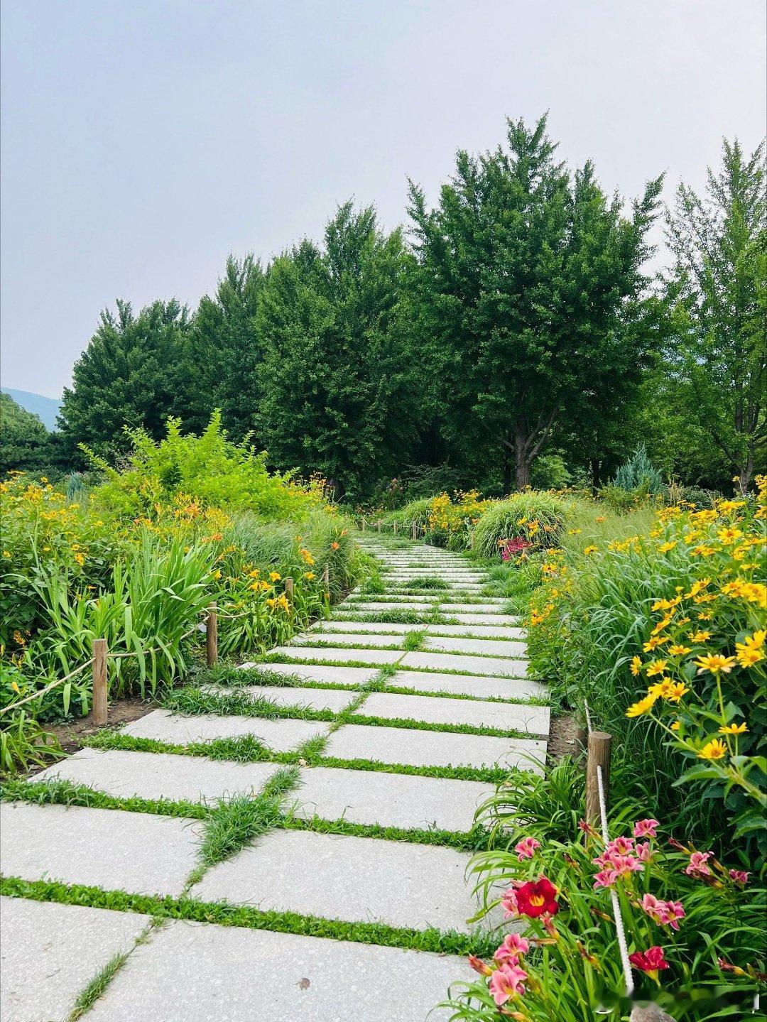 活出健康轻盈假期的健康轻盈攻略 我所期待的五一假期终于到了，哈哈哈，太高兴了，我