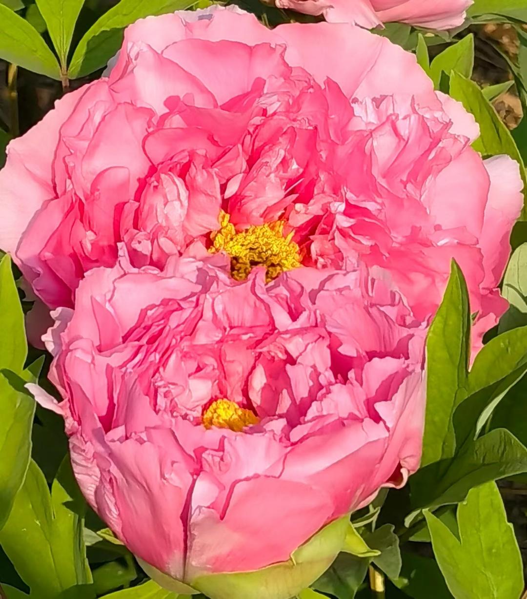 


心跳太慢，有危险吗？需要治疗吗？