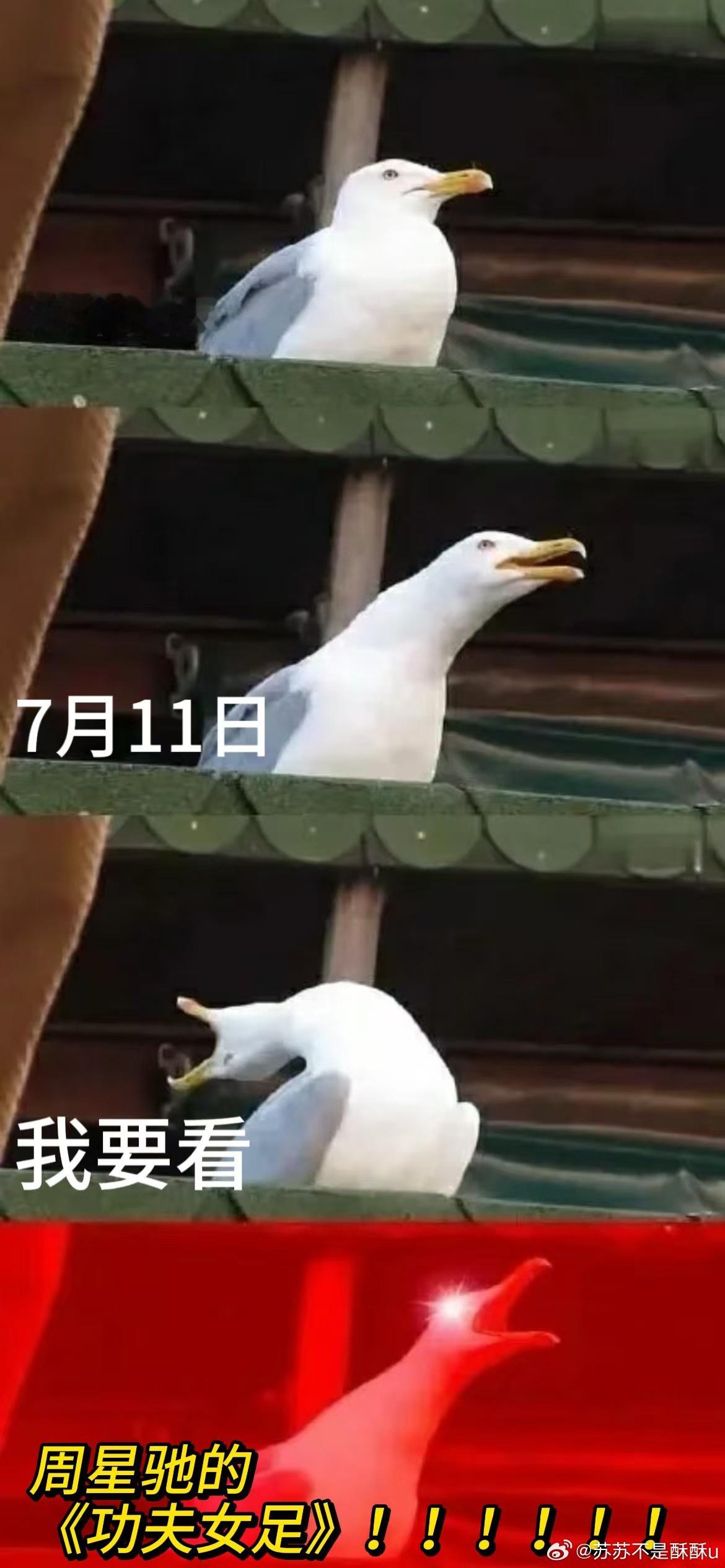 周星驰功夫女足定档 这张定档海报看完瞬间燃起期待，周氏喜剧的轻松趣味遇上绿茵赛场
