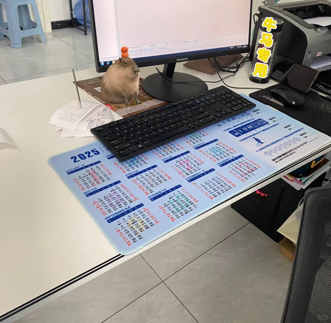 不注销了 小我决定继续写下去……